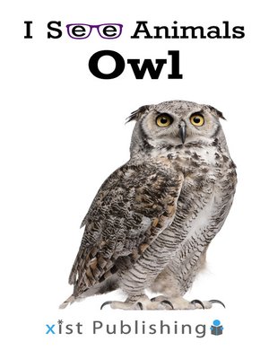 cover image of Owl